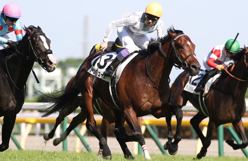 ドウデュース｜名馬メモリアル｜競馬情報ならJRA-VAN