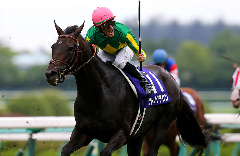 サトノクラウン｜名馬メモリアル｜競馬情報ならJRA-VAN