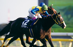 □現地的中単勝馬券□ バブルガムフェロー 1996年 天皇賞秋 □現地的中