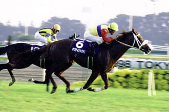 JRAホームページ｜データファイル｜競走成績データ