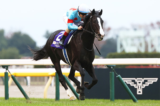 2023年 ジャパンカップ JRA