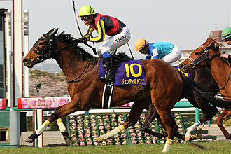 JRAホームページ｜データファイル｜競走成績データ