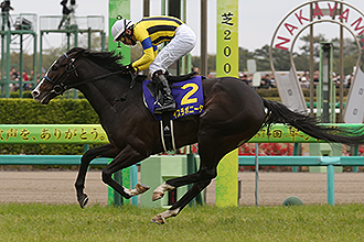 JRAホームページ｜データファイル｜競走成績データ