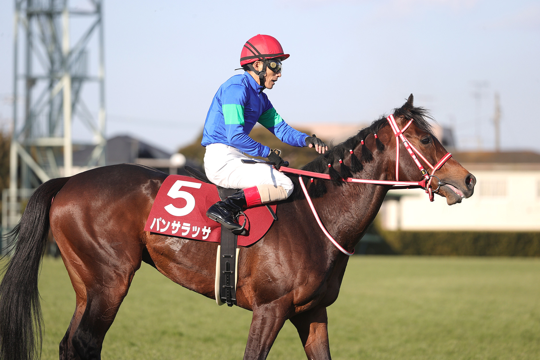 パンサラッサ JRA