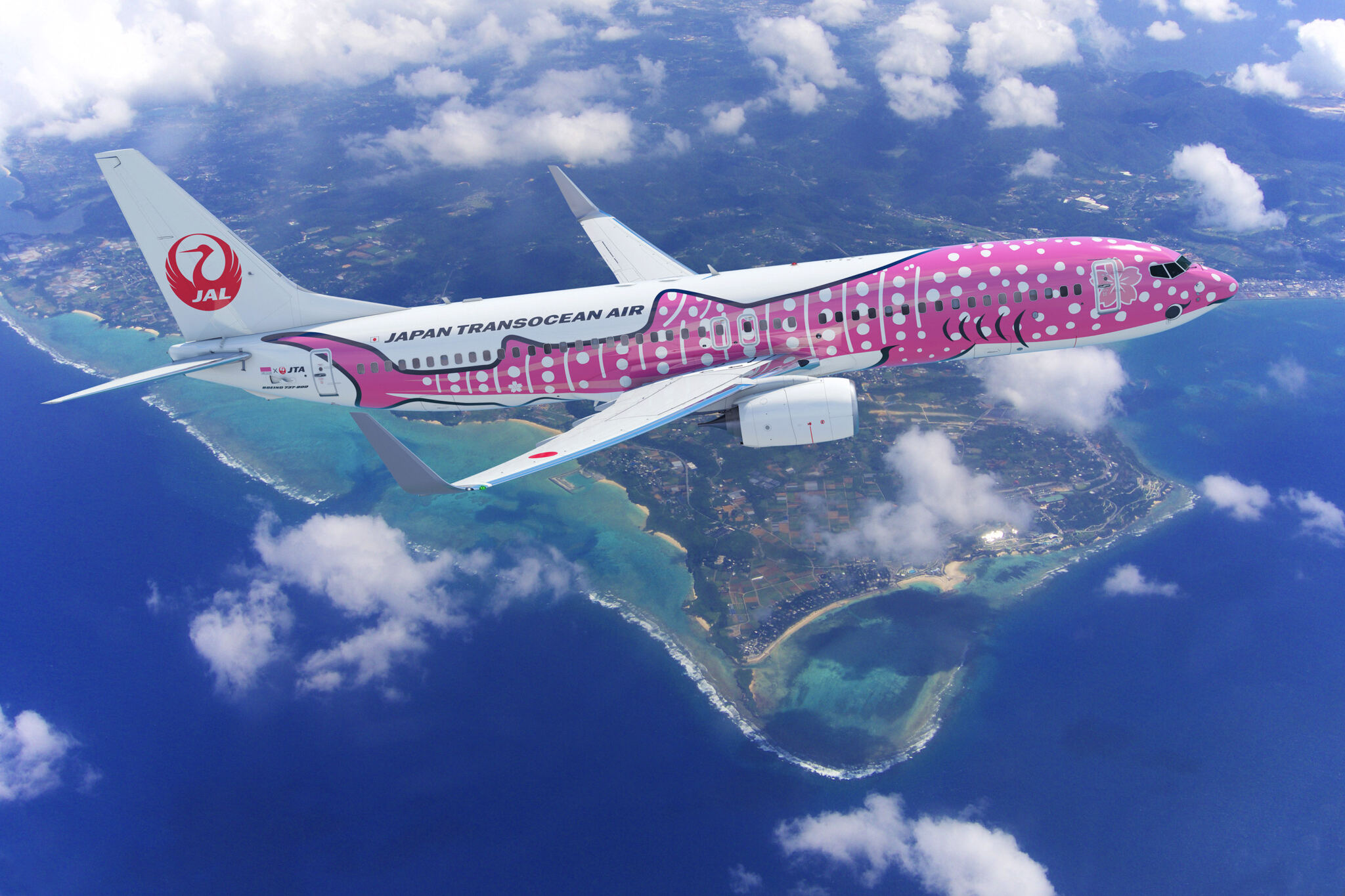 ジンベイジェット ボーイング 737-800 1 130 JAL ボーイング 737-800