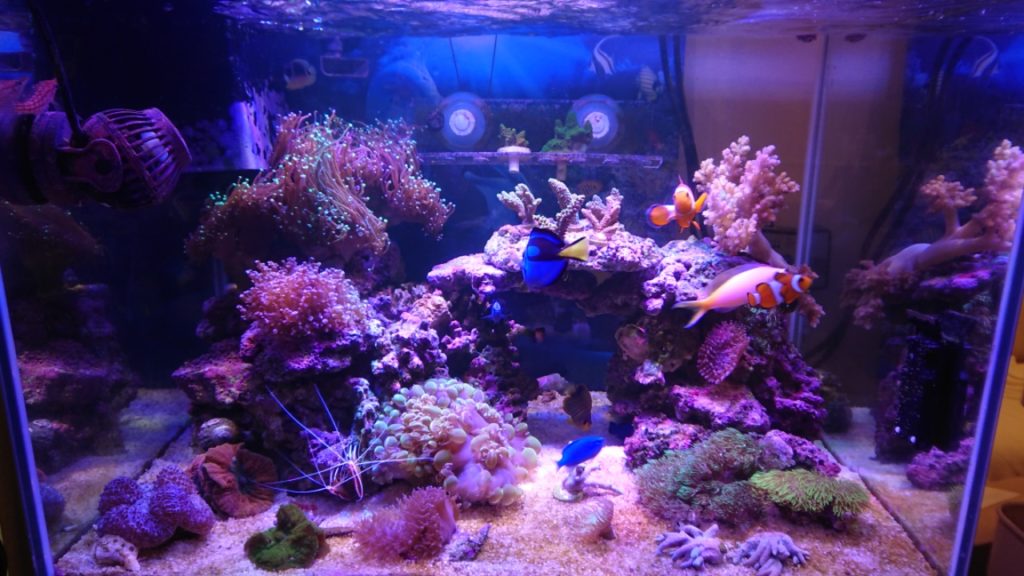 2台 配送 珊瑚水槽LEDライト ブラックボックス PSE技術基準適合