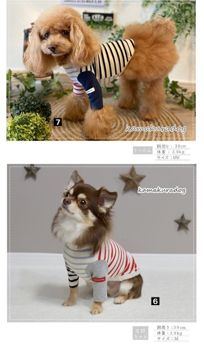 犬服 S わんこの普段着フルーツカシェボーダー