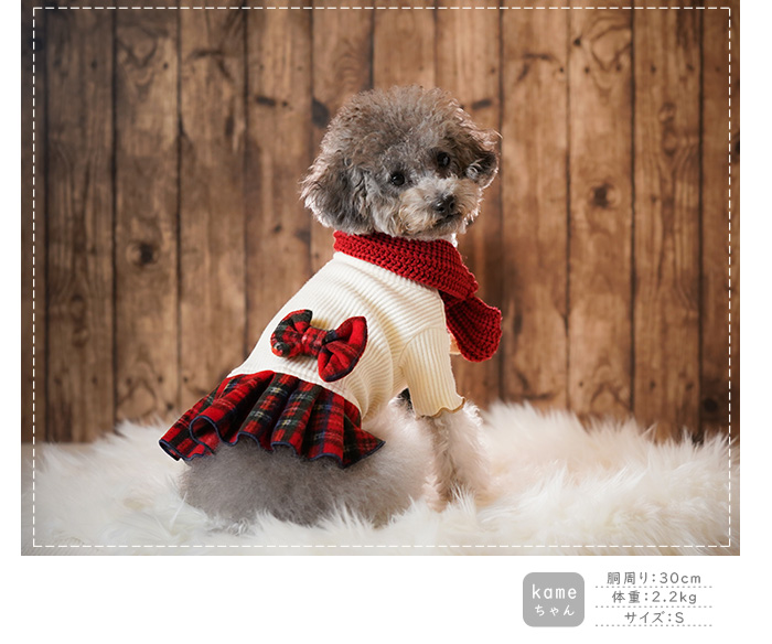 可愛い小型犬の洋服通販 鎌倉ドッグ タグ＆チェックワンピース