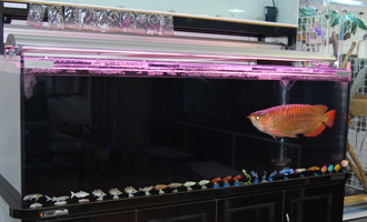 製品・仕様 | 株式会社カンテツ