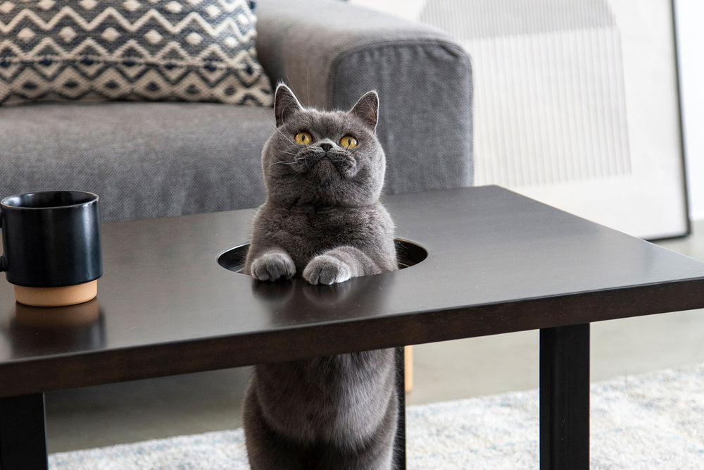 希少 ポストモダン サイドテーブル コーヒーテーブル シルバーx白