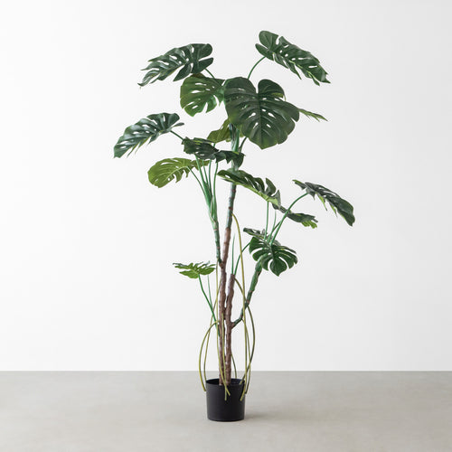 BTT-108_241105-6_01_500x.jpg?v