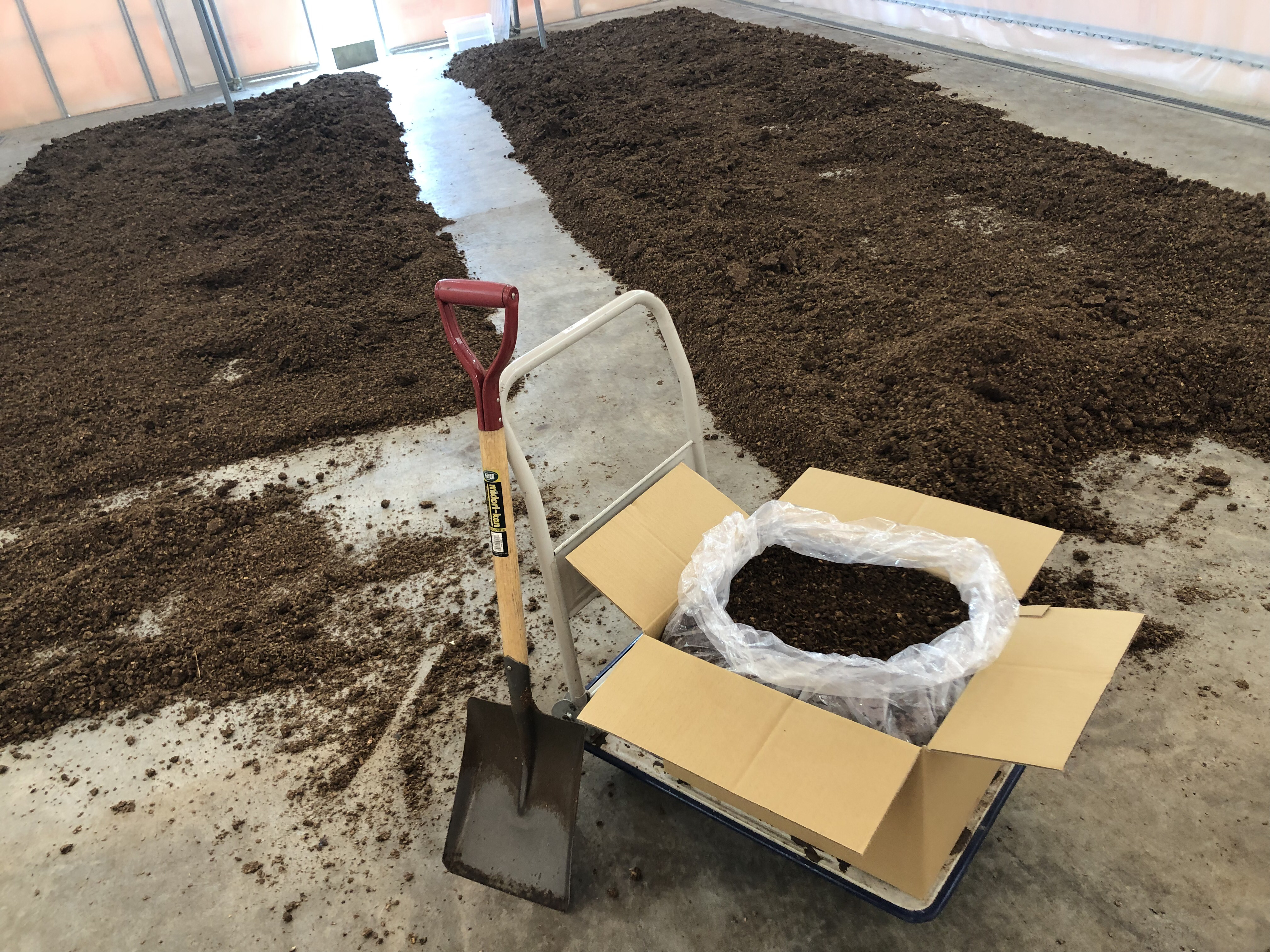 ヘラクレスがギネス級に！プレミアム3次発酵マット【50L】特殊アミノ酸