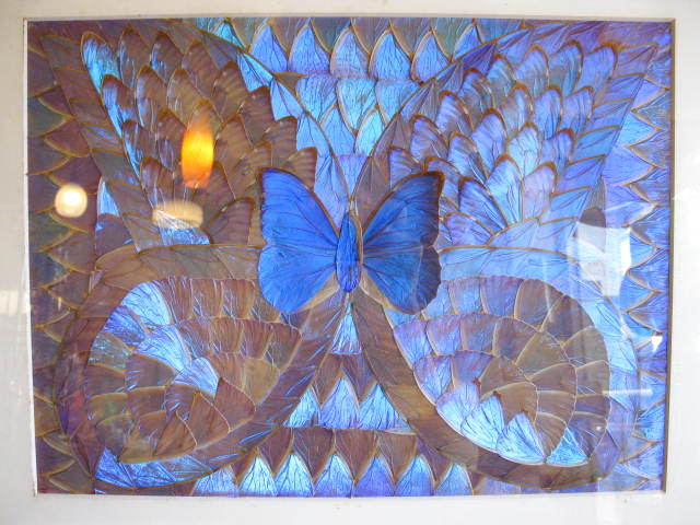 蝶画 羽根細工 モルフォ蝶 蝶羽画 羽根絵画 蝶額 蝶画 羽根