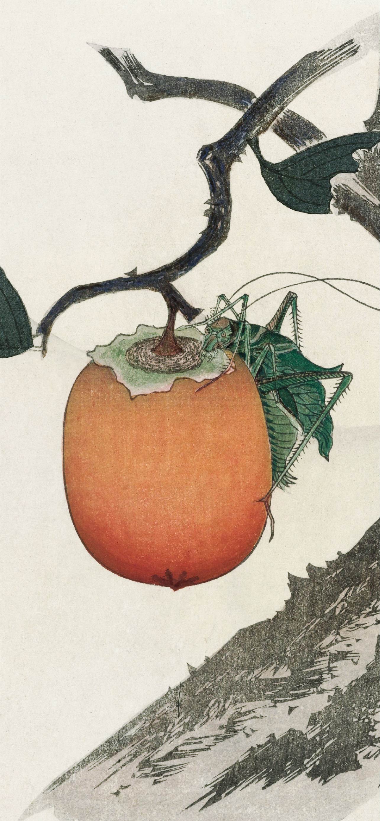 無料壁紙】葛飾 北斎「柿の実とバッタ (1890-1900頃)」 / Katsushika