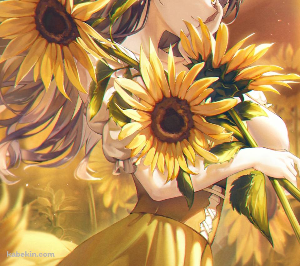 プロセカ 白石杏 色紙 24b ひまわり 白石 杏 | プロジェクトセカイ