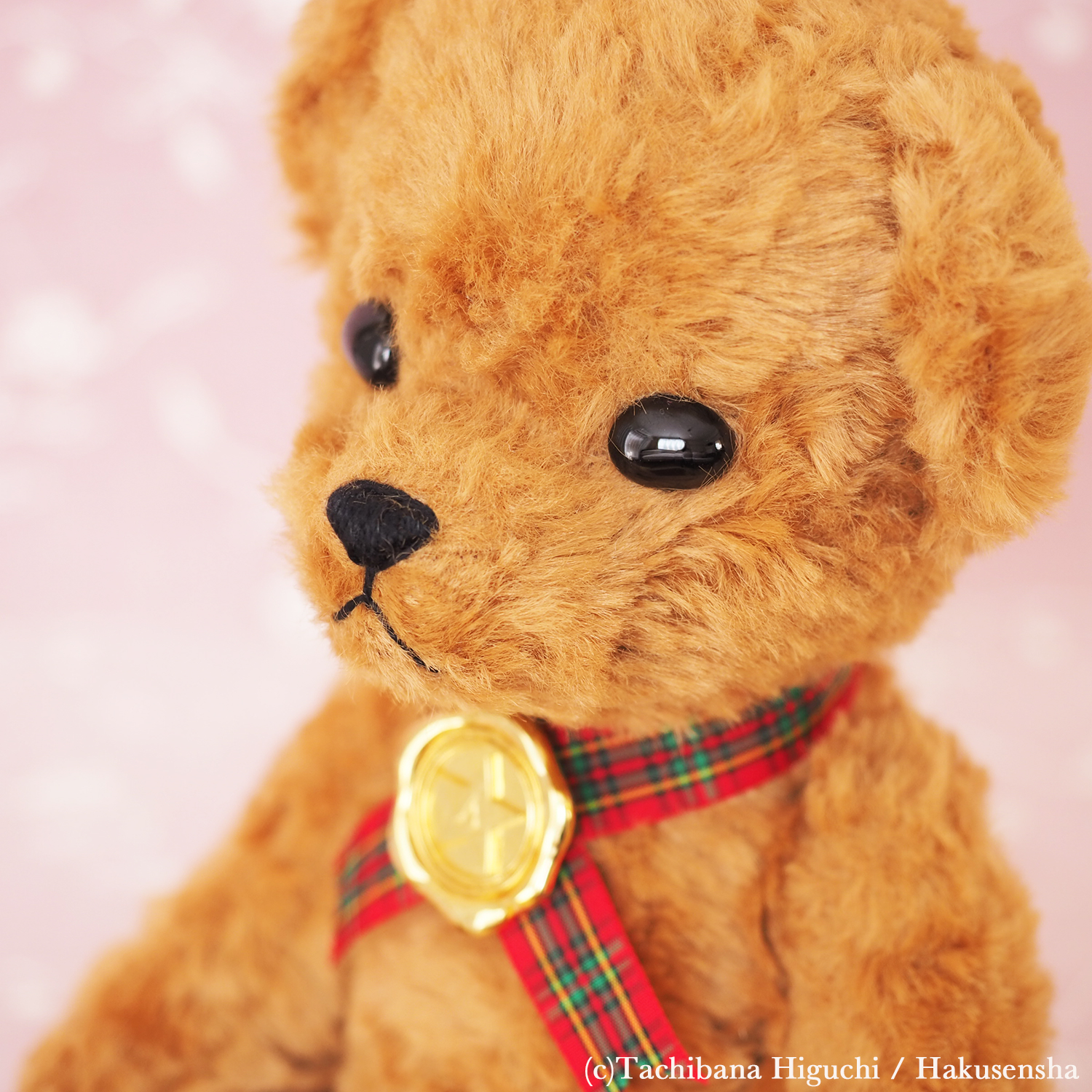 学園アリス×kabott 公式コラボグッズ・Mr.ベアぬいぐるみ 新版