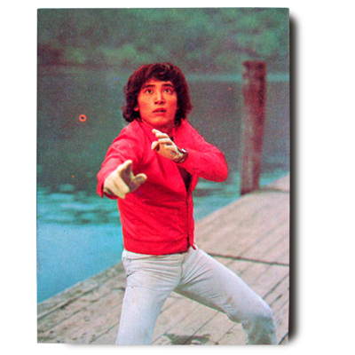 参考価格】カルビー 仮面ライダーV3カード No.427 たのもしい風見志郎