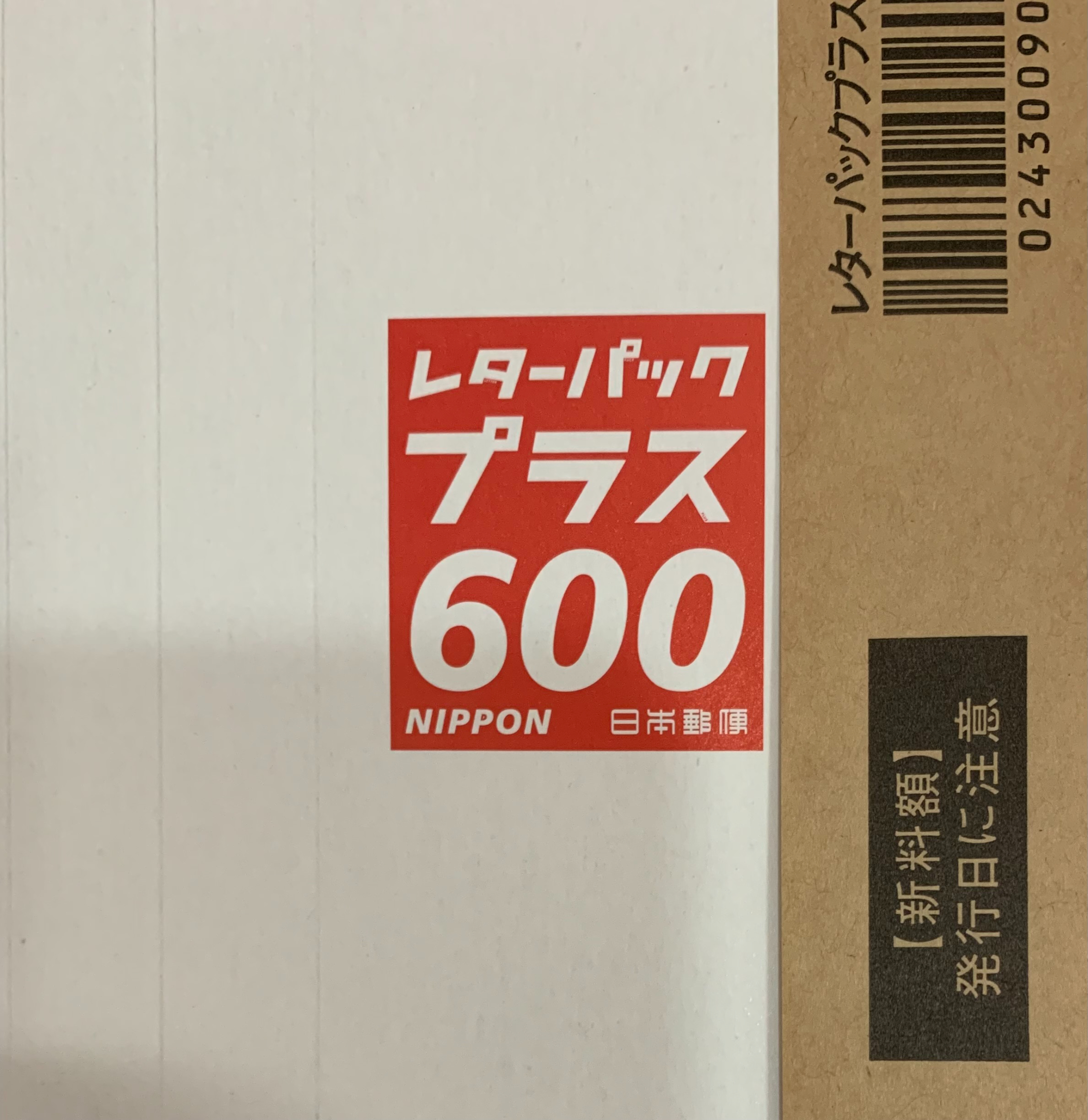 レターパックプラス600 100枚 レターパックプラス600 折り曲げずに発送