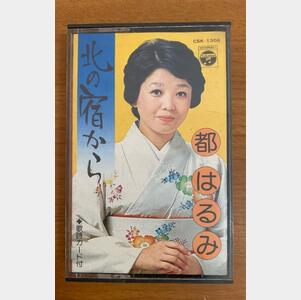 レターパックライト 430【100枚】【折り曲げずに発送】【凰月院②