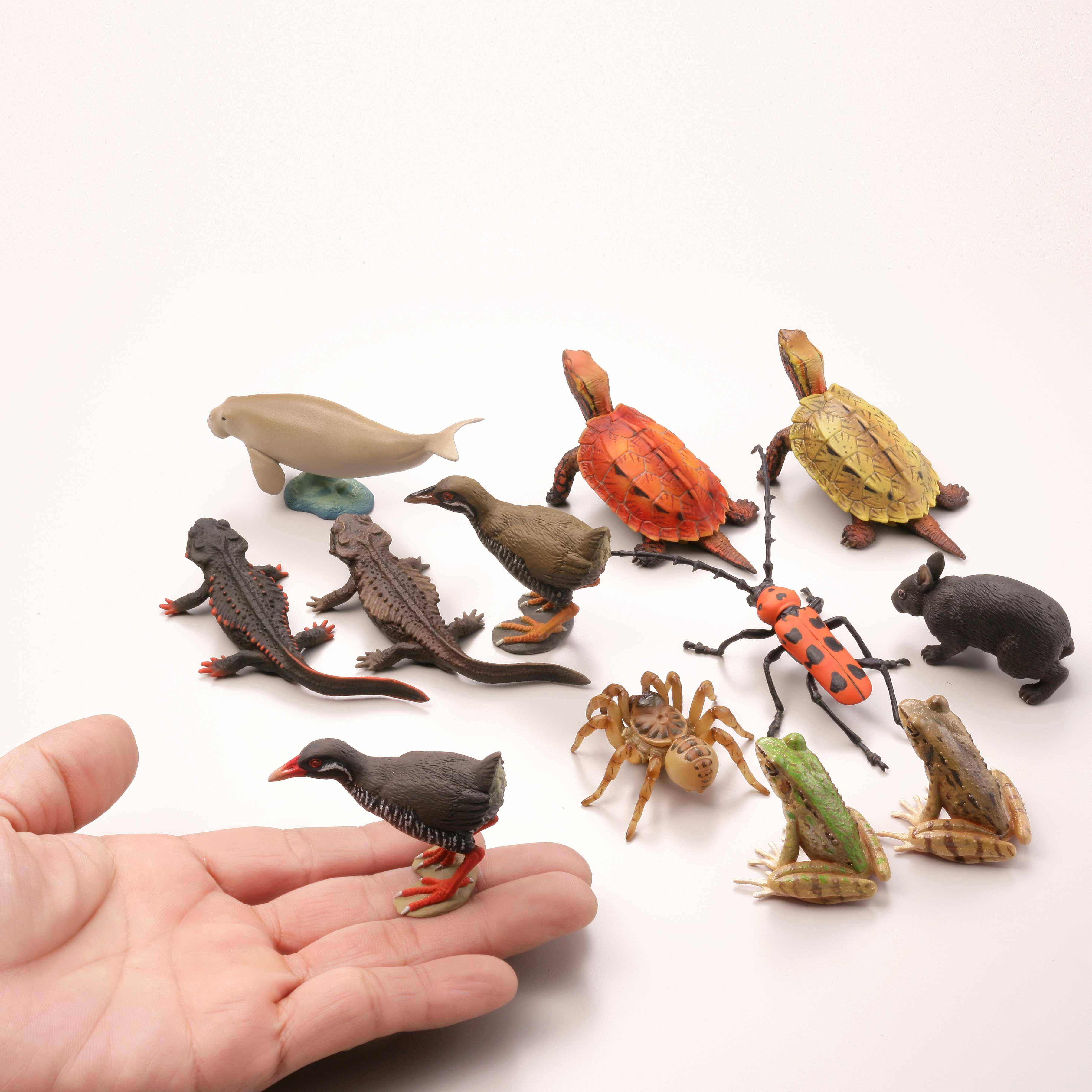 カプセルQミュージアム 日本の動物コレクション2 沖縄奄美/やんばるの