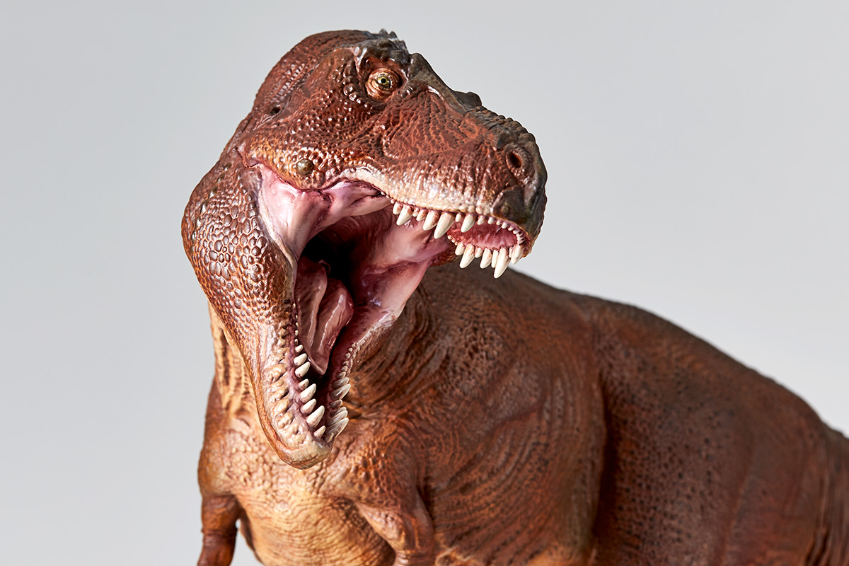 Nature Tales 恐竜王｜NATURE TALES｜海洋堂