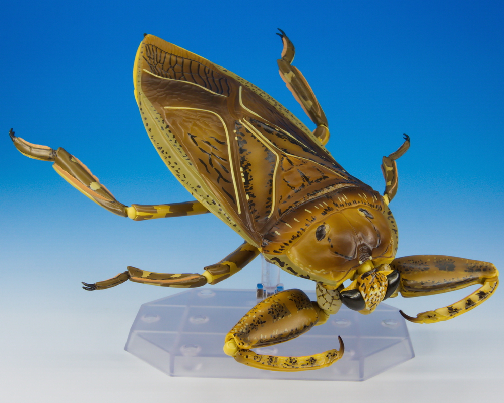 水中の最強捕食昆虫！ 「リボジオ タガメ」先行サンプルレビュー｜海洋