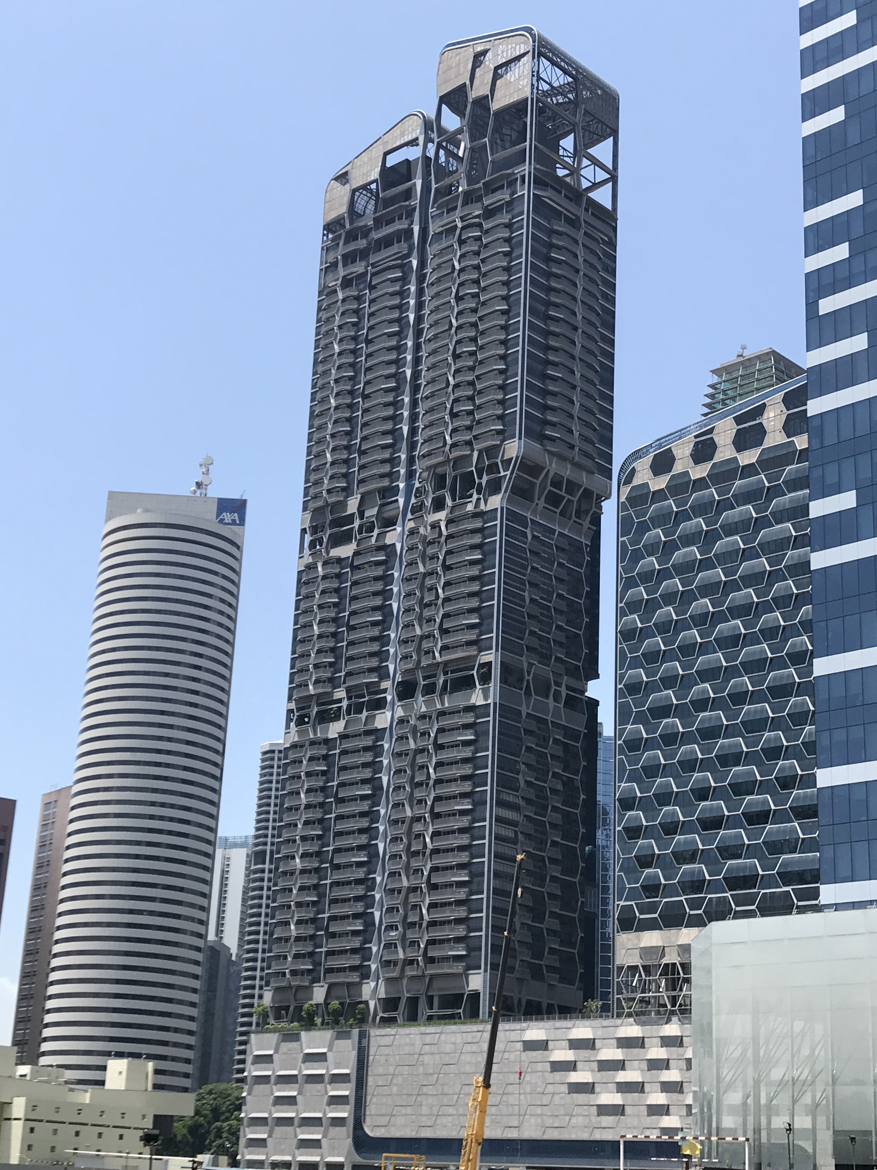 9SAM8 コンゴ民主共和国 10フラン イリュージョンラヴィアンローズ