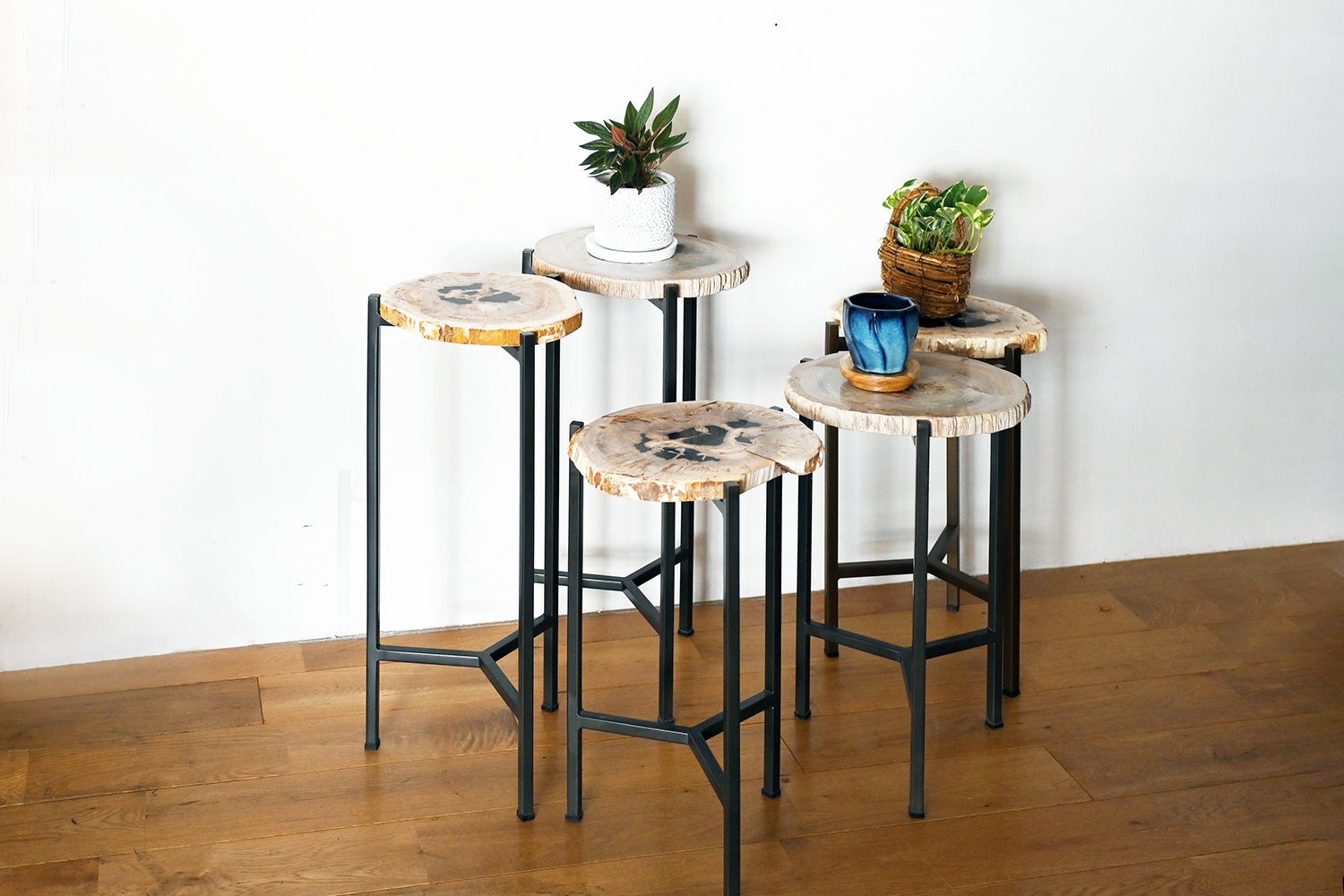 自然の美と現代的なデザインを組み合わせた 木化石 サイドテーブル(H45)