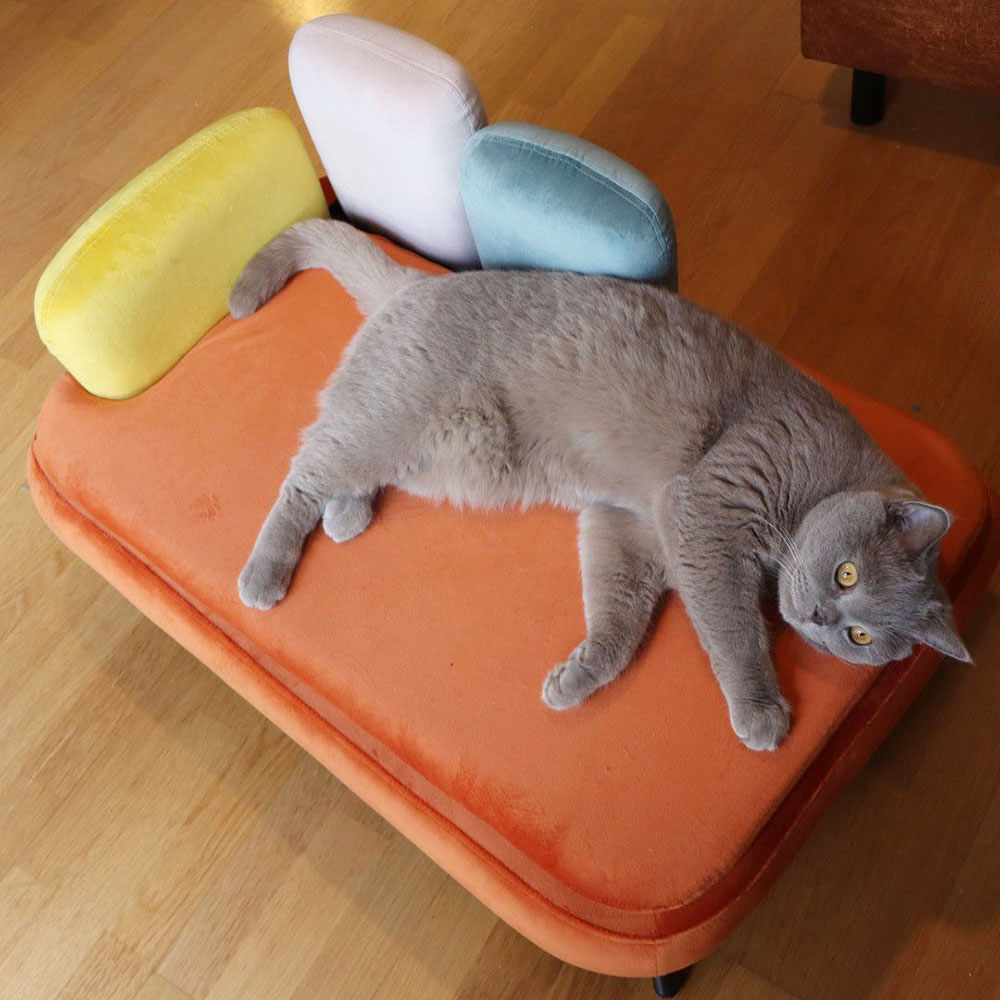 ディーバ オレンジ ドッグ/キャット ベッド ｜【KARE】ドイツの家具