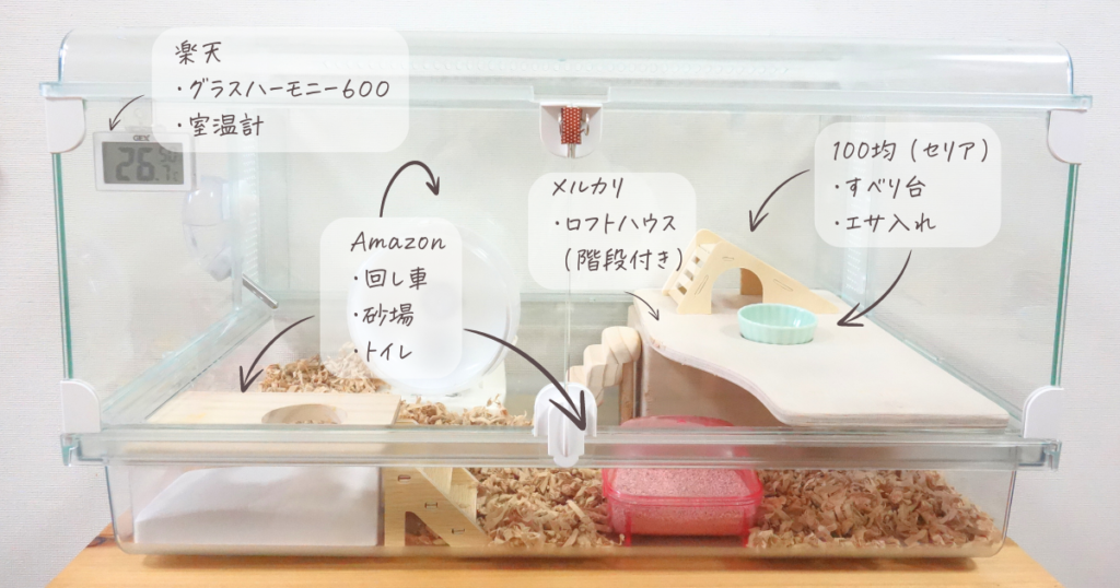 ルーチェ様確認用 ハムスター グラスハーモニー600用 ロフト(ルーミィ