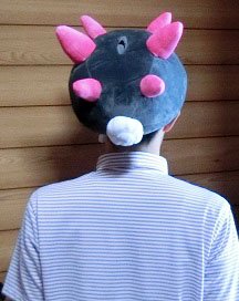 ポケモンセンター限定 ナマコブシティッシュケース＆ぬいぐるみ Amazon