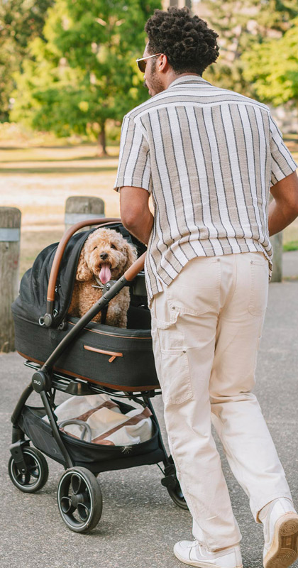 TAVO Maeve(メイヴ) 3in1 ペット・プロテクション・システム Lサイズ