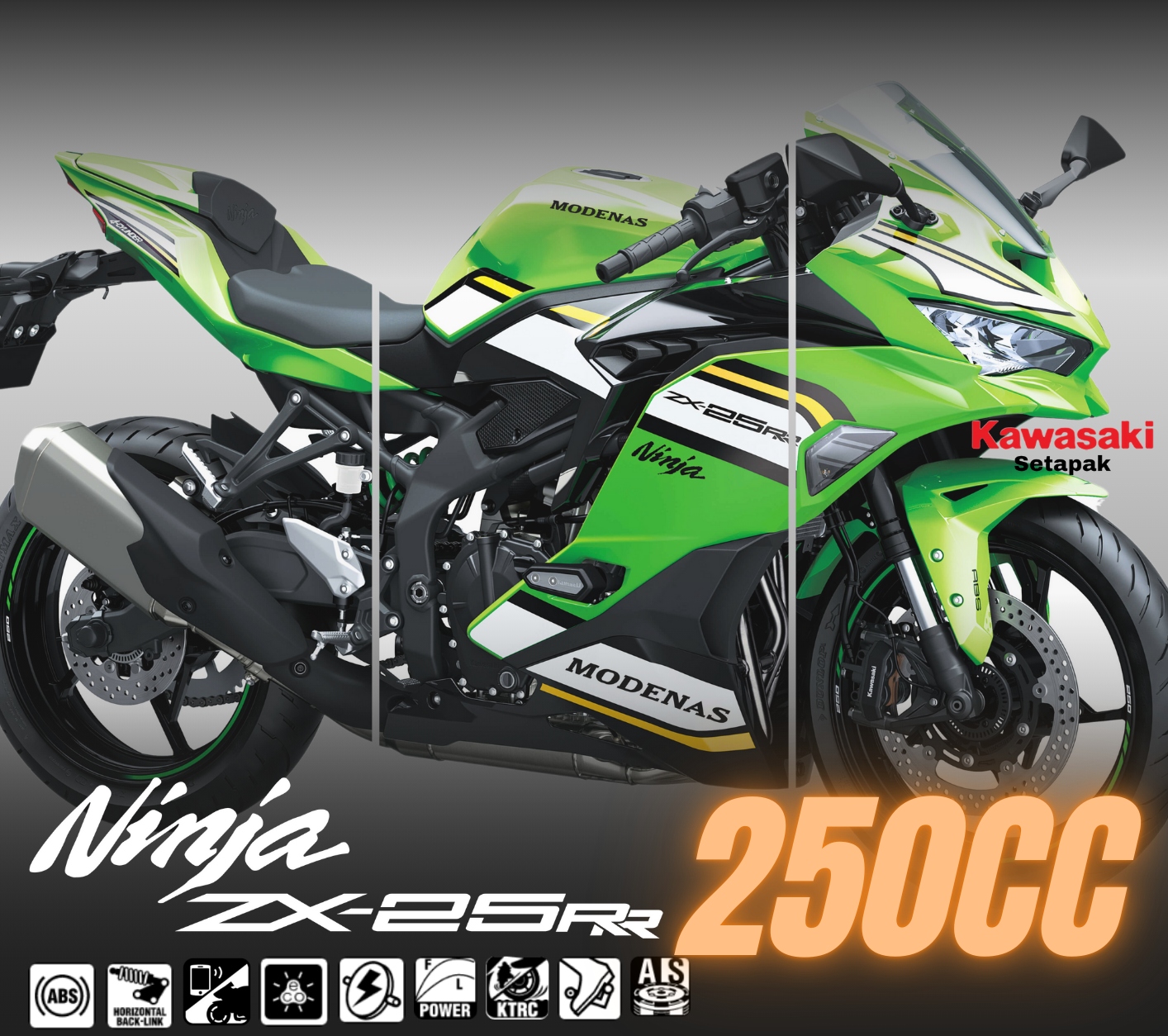 きゅうり】 きゅうり MTフェニックス 100粒 | オアシス DEPO