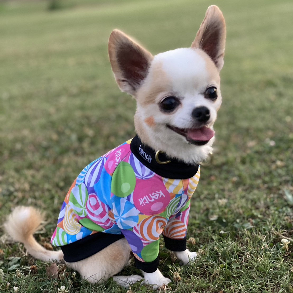 bonbon / ボンボン – kentii［ケンティー］公式通販サイト