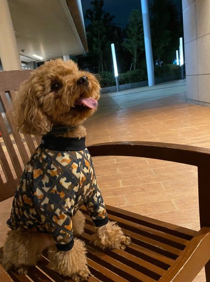 Base Camp / ベースキャンプ – kentii［ケンティー］公式通販サイト