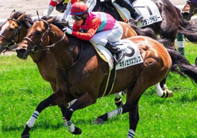 再値下げしました。馬場重臣作南円堂の月 ジャパンC】マスカレード