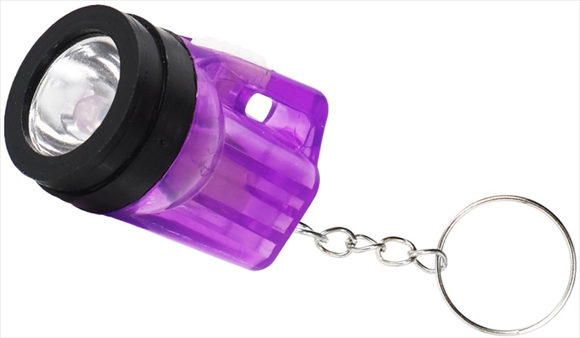 CSI：科学捜査班」ミニライト付きキーホルダー（新品・非売品） CSI