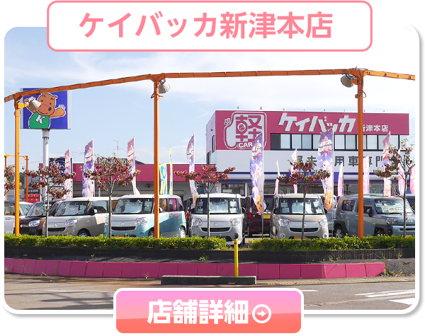 ケイバッカ50周年記念セール開催中！