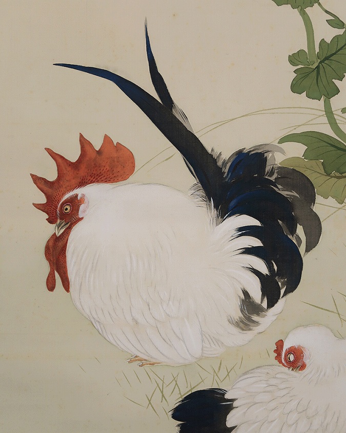 狩野梅斎 矮鶏之図 | 掛軸(掛け軸)販売／表装ご依頼は掛軸いっぷく掛軸