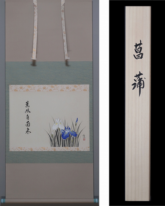 奥田拓也 菖蒲【新品】 | 掛軸(掛け軸)販売／表装ご依頼は掛軸いっぷく