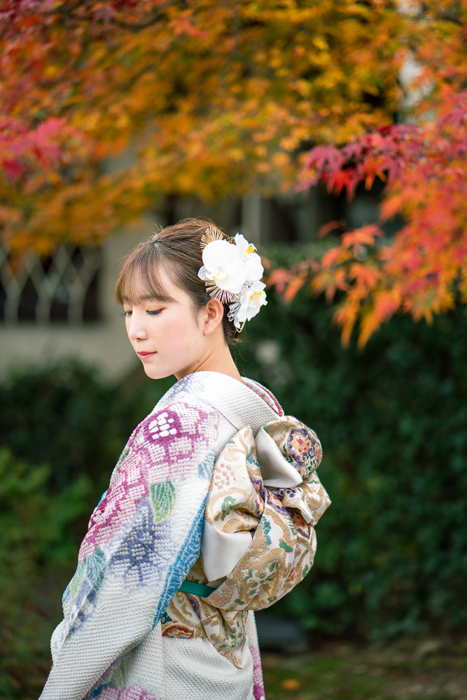 藤娘きぬたや 総絞り 薄紫系 熨斗柄 小紋バック振袖 フルセット 落款