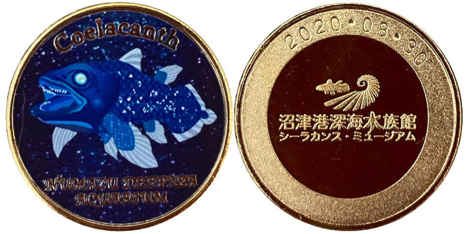 深海☆イカ☆記念メダル☆茶平 深海☆イカ☆記念メダル☆茶平