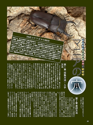 ビークワ54号（BE・KUWA） 世界のコクワガタ大特集!!