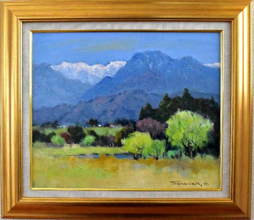 山羽 斌士 安房雨過 84-1503 希少画集画 状態良好 新品額・額装