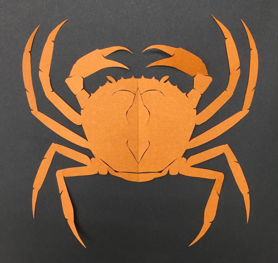 切り紙アート／オオエンコウガニ: 切り紙アート 生物図鑑