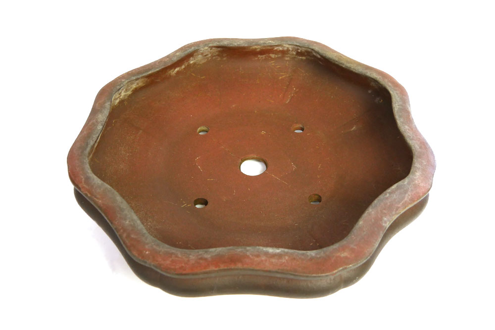 2110-1705 | 北関東盆栽組合