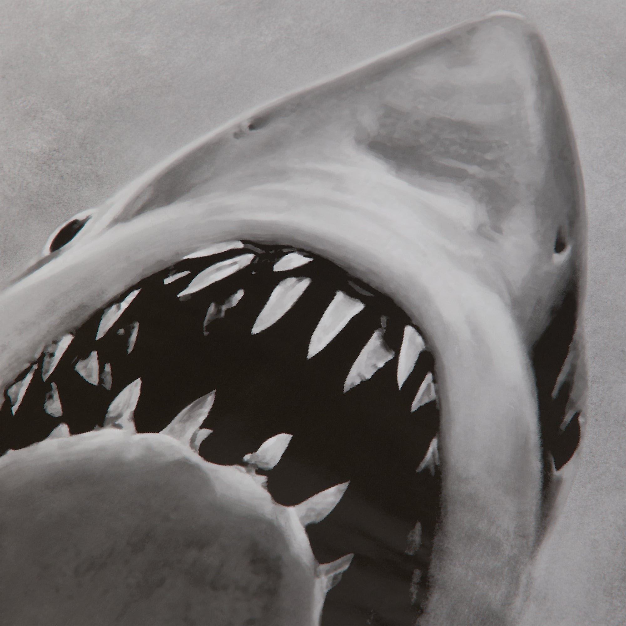 Kith for JAWS Japanese Movie Poster - Multi