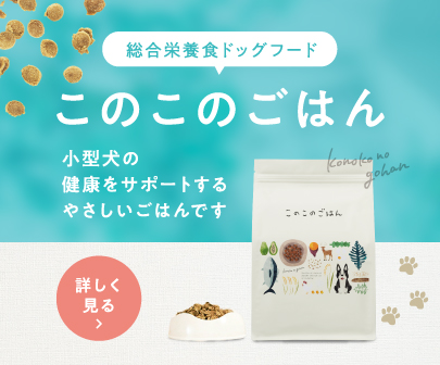 商品 – コノコトトモニ