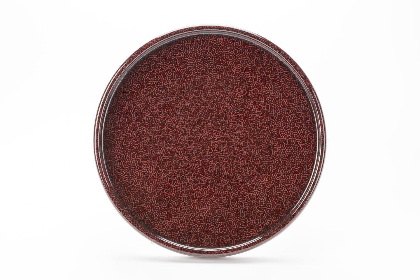 胴張丸盆(24cm) 七々子塗 | 津軽塗 小林漆器のネット通販