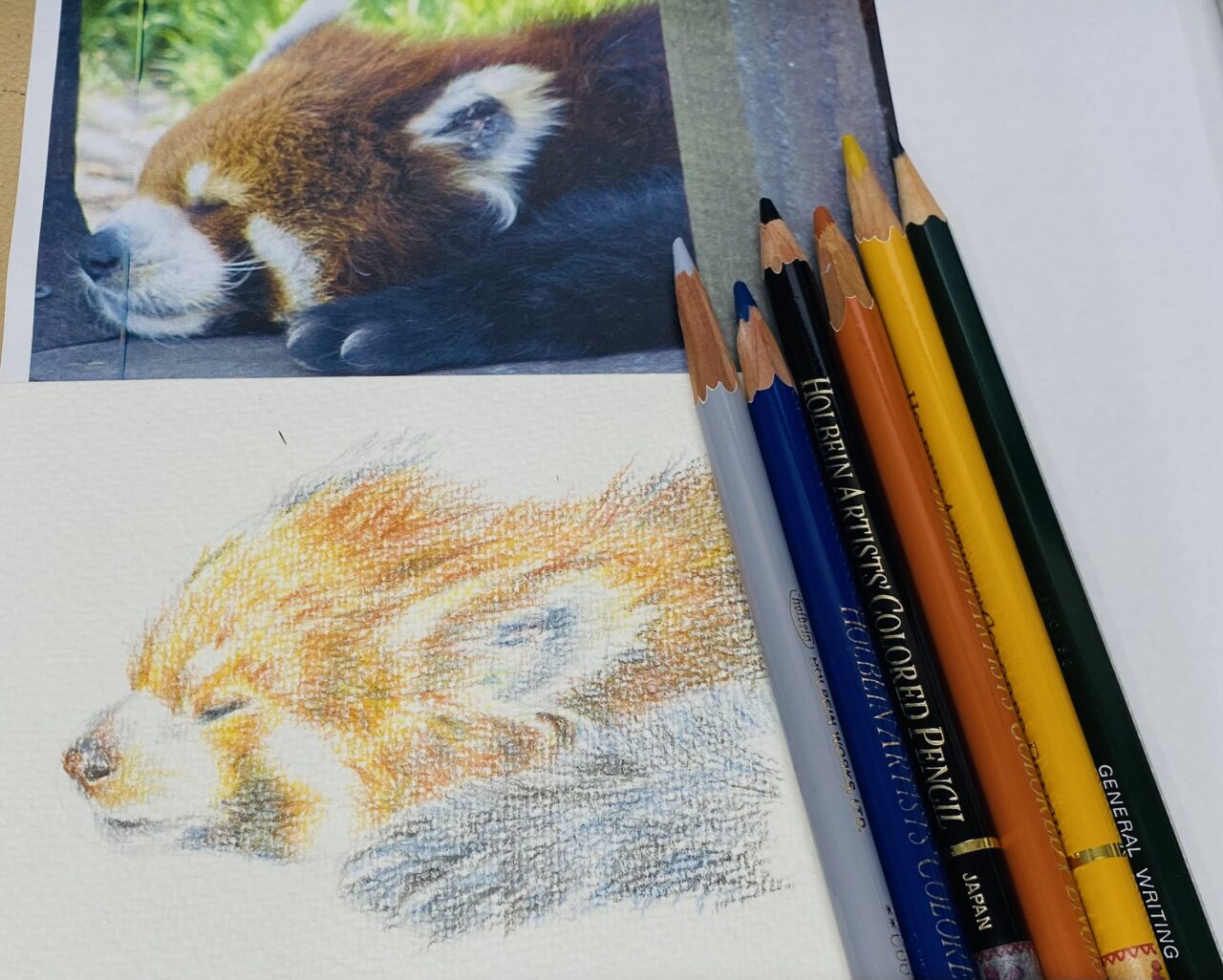 色鉛筆画 【公式通販】